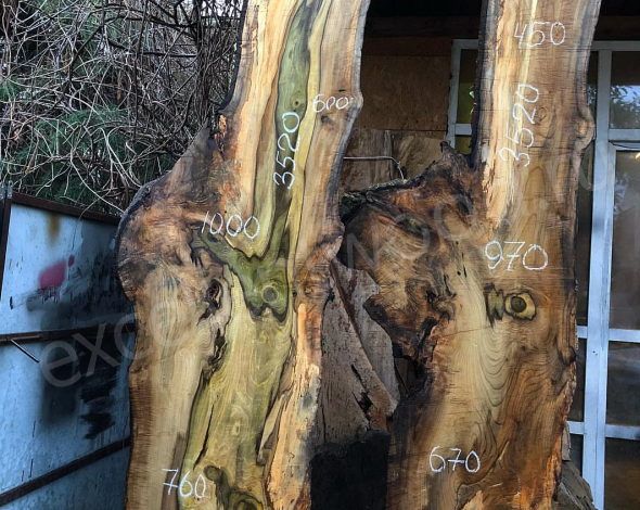 Экзотическая древесина Магнолия 3500 купить в интернет-магазине