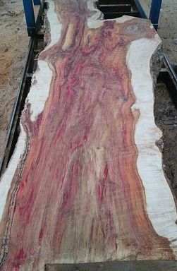 Экзотическая древесина Клен красный 3000 продажа по ценам производителя