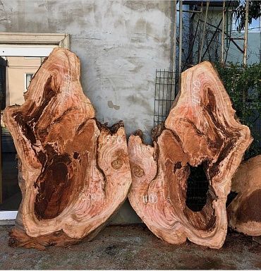 Экзотическая древесина Каштан 2200 продажа по ценам производителя