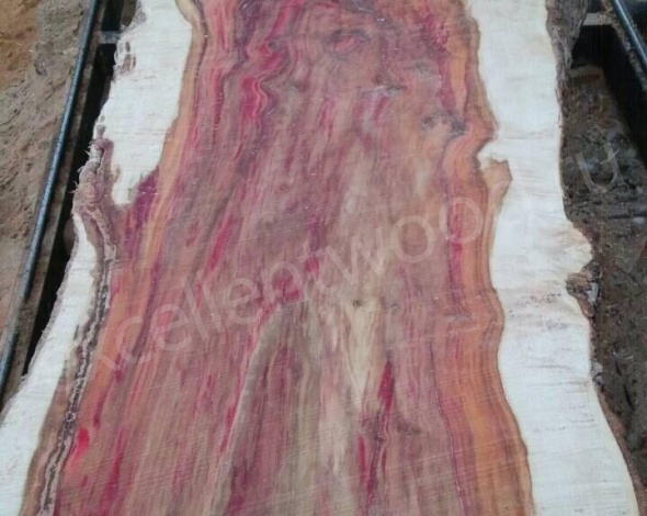 Экзотическая древесина Клен красный 3000 купить в интернет-магазине