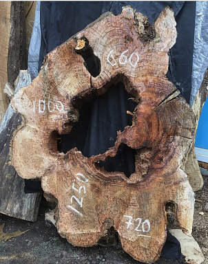 Экзотическая древесина Каштан поперечный спил продажа по ценам производителя